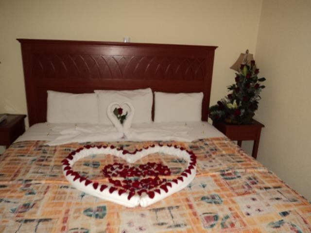  Hotel and room 